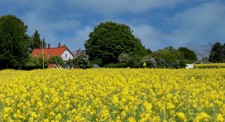 Denemarken Seeland,