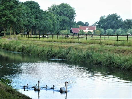 Achtertuin van Groeneveld