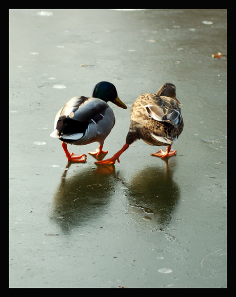 Schaatsend paartje