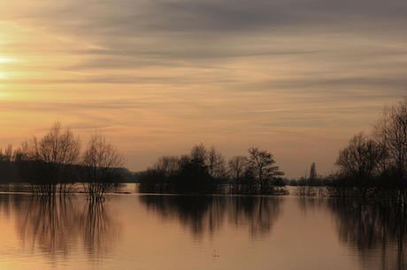 Hoog water in Limburg II