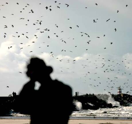 Storm aan zee