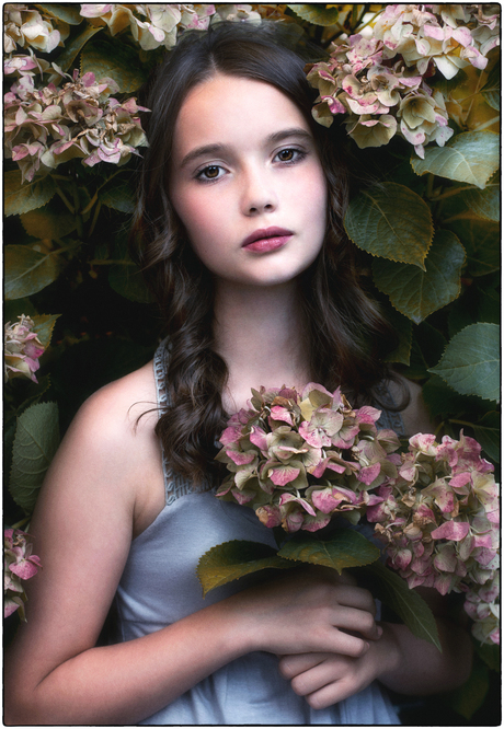 | p u r p l e - h o r t e n s i a | 