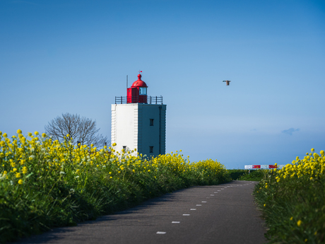 Feestelijk weer 🇳🇱
