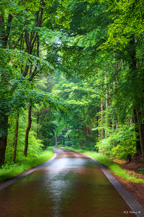 On the road. 