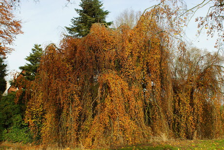 Herfststukje