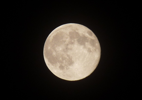 Volle maan!