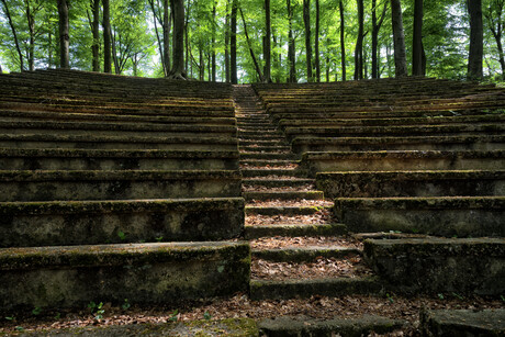 Oud openluchttheater in het bos.