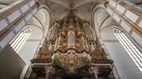 Orgel Grote of Sint-Michaëlskerk (Zwolle)