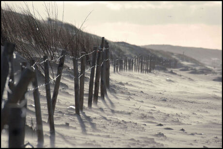 helderse duinen en strand