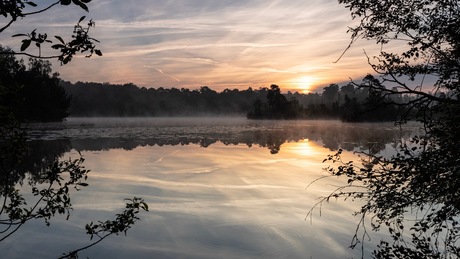 Silent Sunrise Oisterwijkse Bossen en Vennen