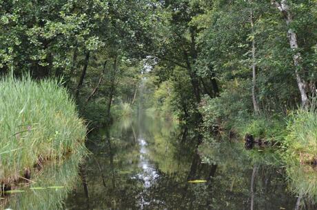 op het water.