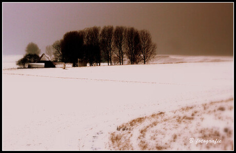winter in Zeeuw Vlaanderen