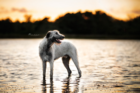 Gouden uur boven het meer