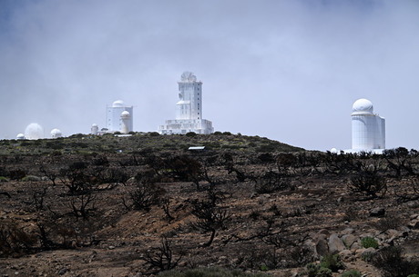 Institute of Astrophysics