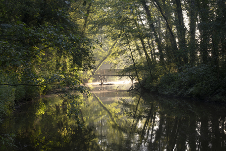 Oude Dinkel