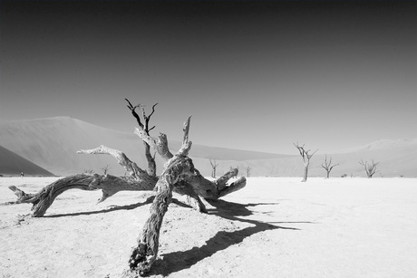 Deadvlei