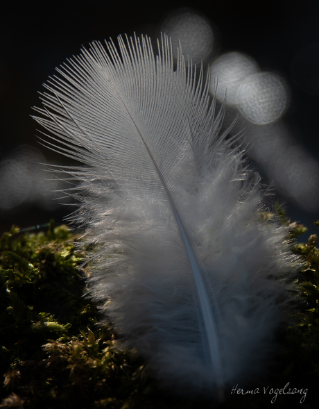 Feather softness 
