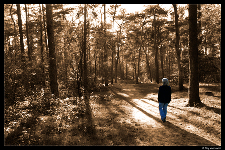 Broertje in het bos