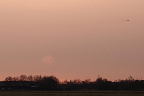 Zonsopkomst met sahara zand