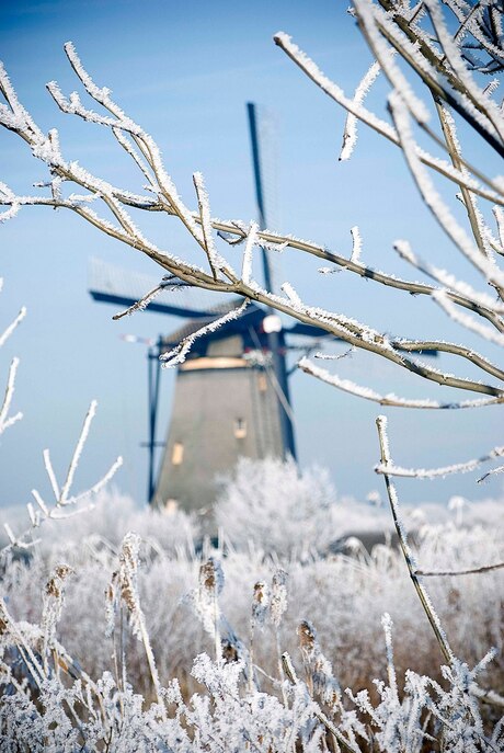 Kinderdijk in de winter