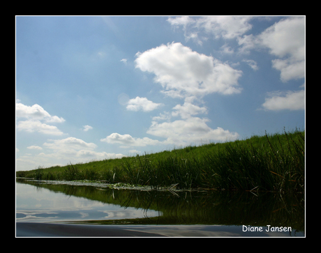 In het water