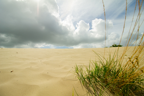 Grass and sand dunes with dutch clouds en sky dutchlight sun-1