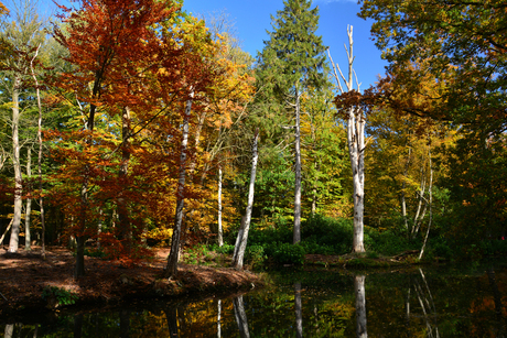 Herfst