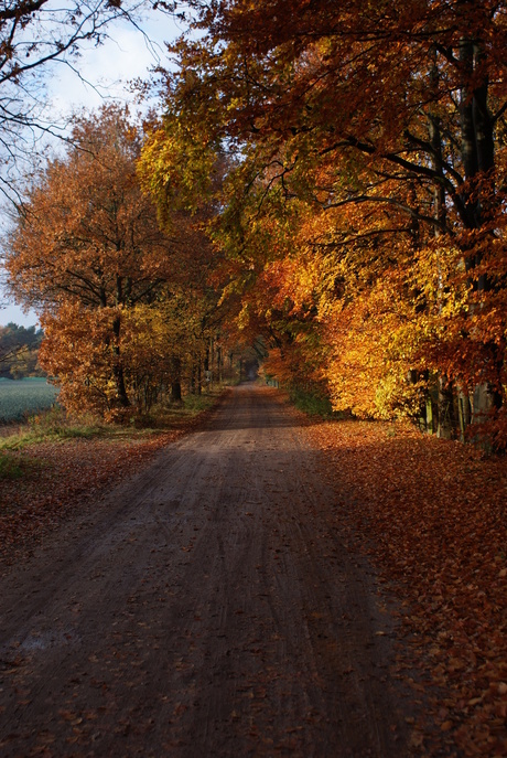 herfst