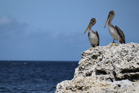 Curacao