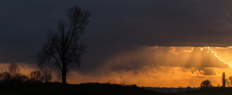 November Zonsondergang bij de Lek