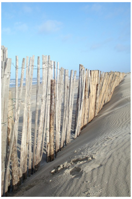 Bloemendaal aan Zee