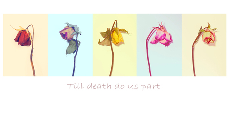 Till death do us part