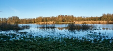 Waterpartij in Horsterwold (2)