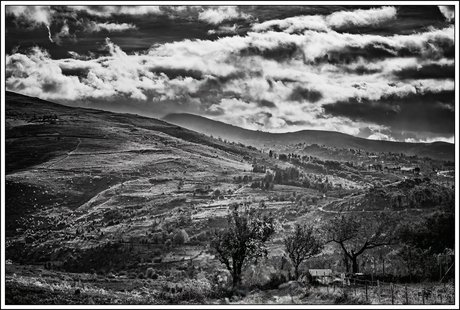 Landschap in zwartwit