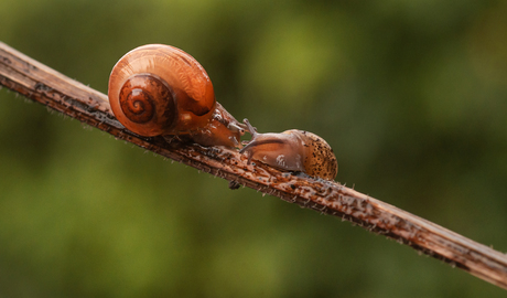 Kussen kan een uitdaging zijn
