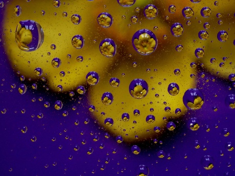 Reflectie van hypericum in waterdruppels