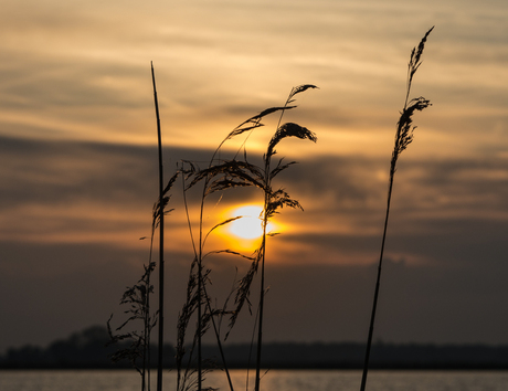 Avond bij het Schildmeer