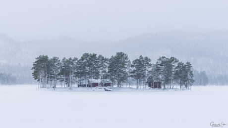 Zweedse winter