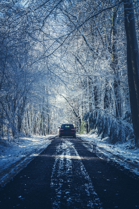 Auto rijdend door laan van besneeuwde bomen.