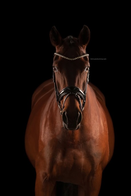 studio fotografie