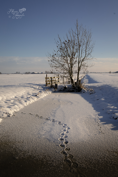 Linksaf: sporen in de sneeuw