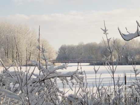 Naturpark Lelystad