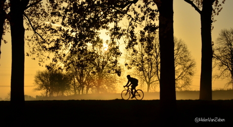 Eenzame fietser in de mist