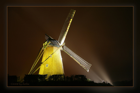 Bokrijk by night