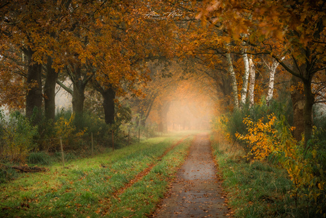 Herfstkleuren