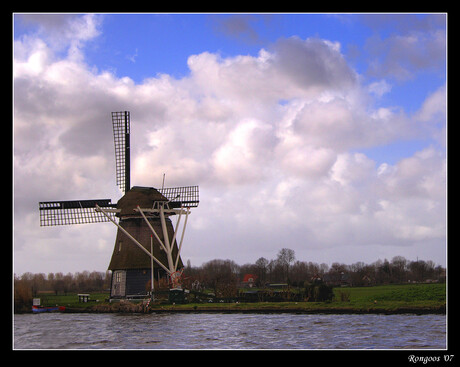 hollands