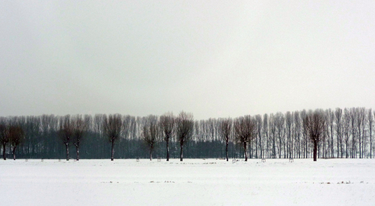 Winterland foto van aafkeve Landschap Zoom.nl