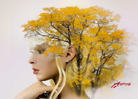 Tree - - - foto door artvark op 07-11-2018