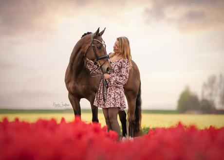 Tulpen liefde