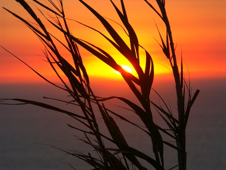 Ondergaande zon in Portugal